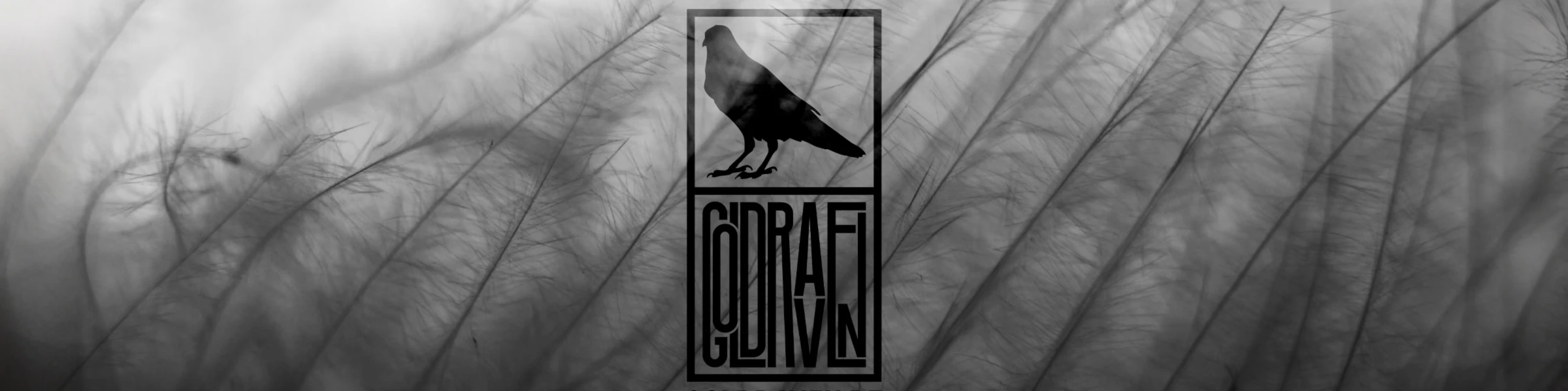 Bannerbild von goldraven