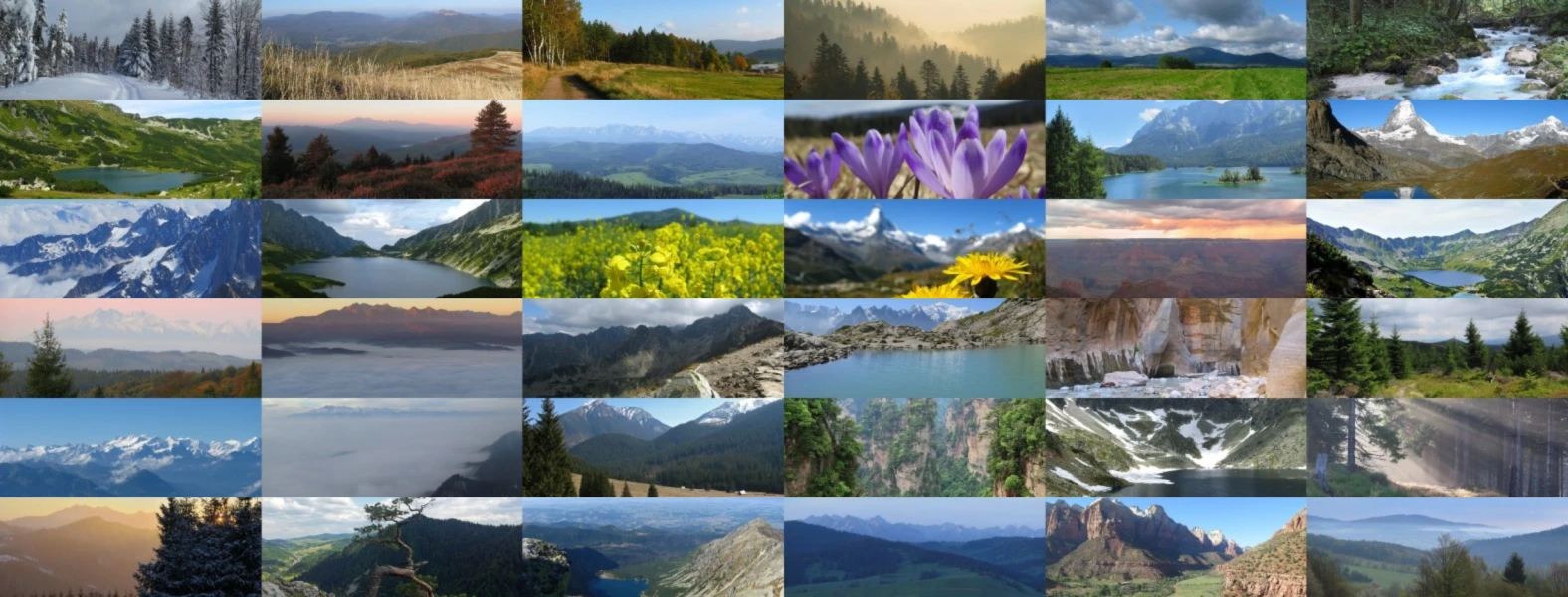 Banner image of Trek Photo