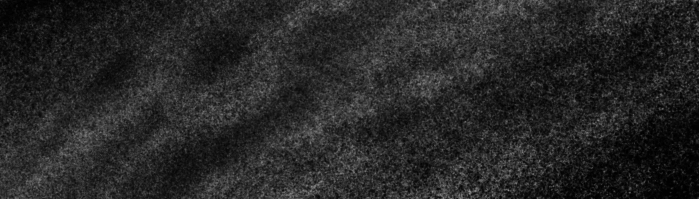 Bannerbild von Damn Bug Lindgren