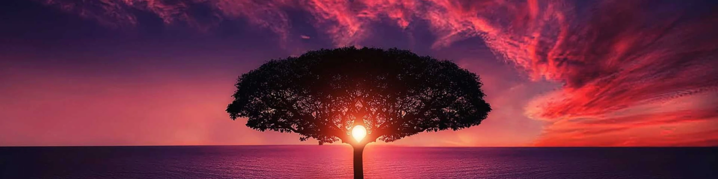 Banner image of creators corner