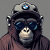 FunkyMonkey_247