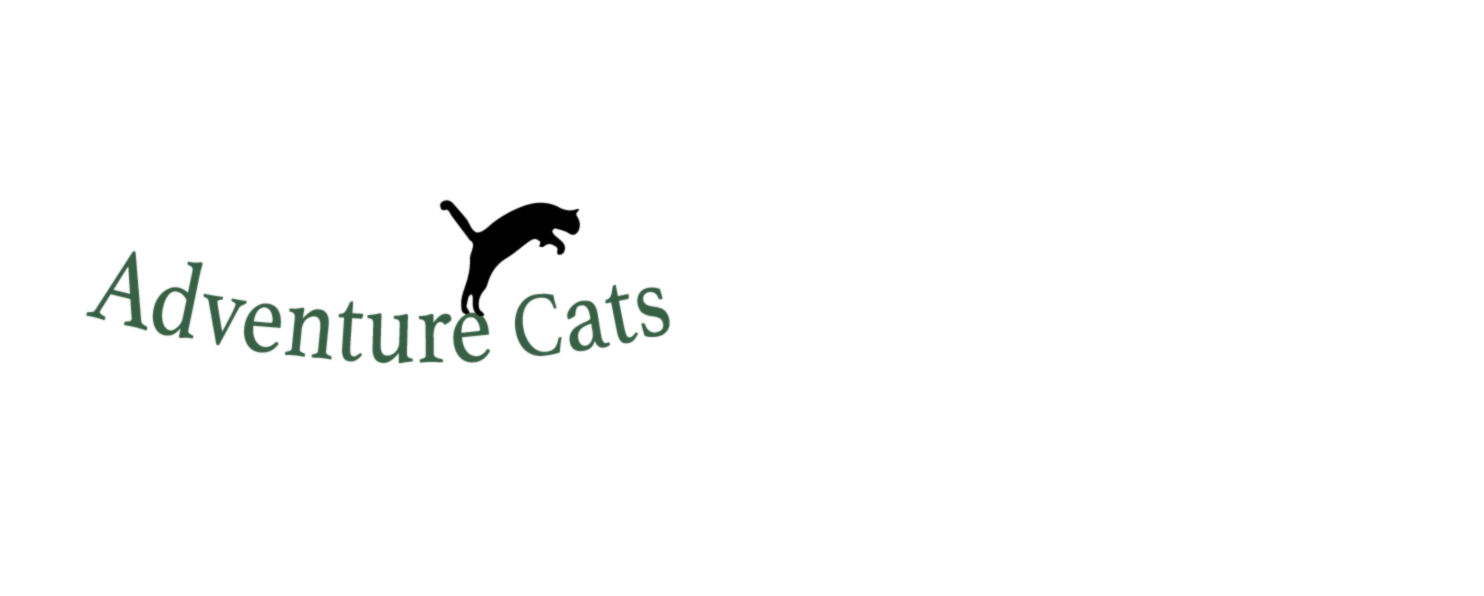 Bannière de Adventure Cats