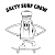 Saltysurfcrew