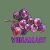 Viinamari