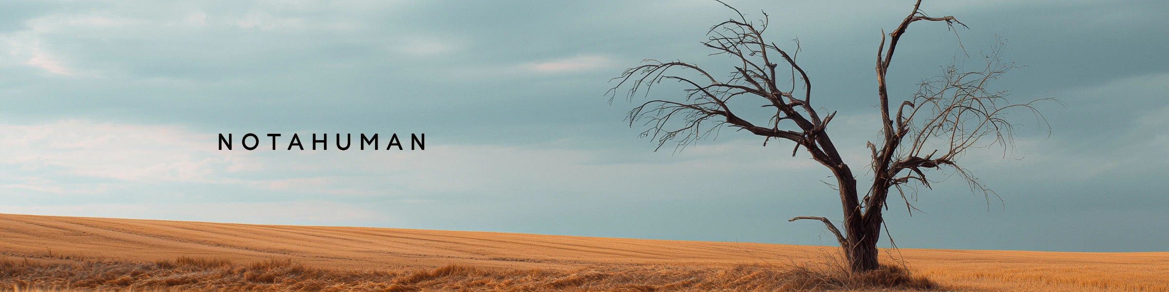 Banner image of NOTAHUMAN