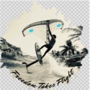 Banner image of Freedom Takes Flight