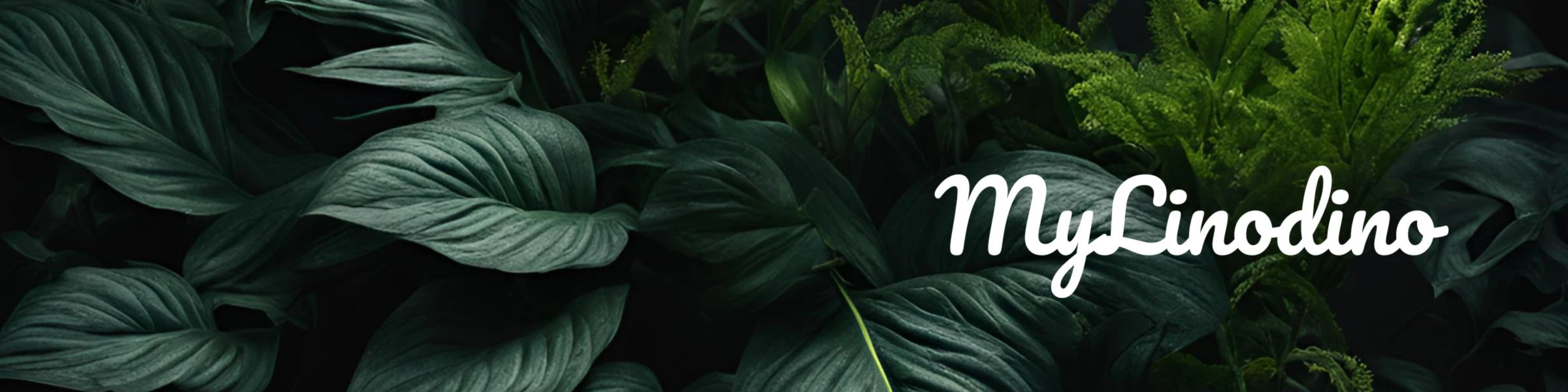 Banner image of MyLinodino