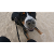 Bradysennenhund