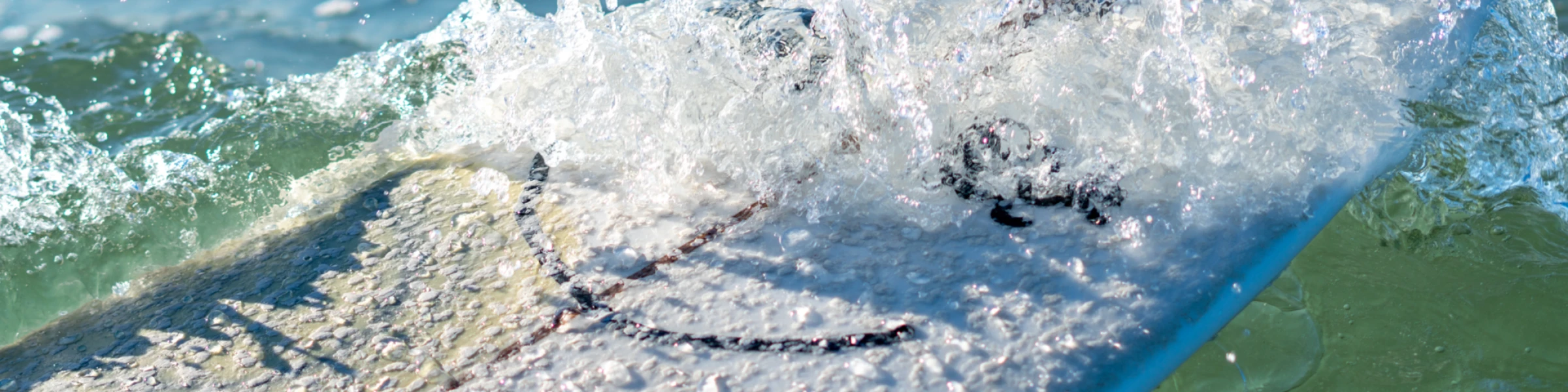 Banner image of SWBL