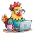 KuraDomowaKoKoKo
