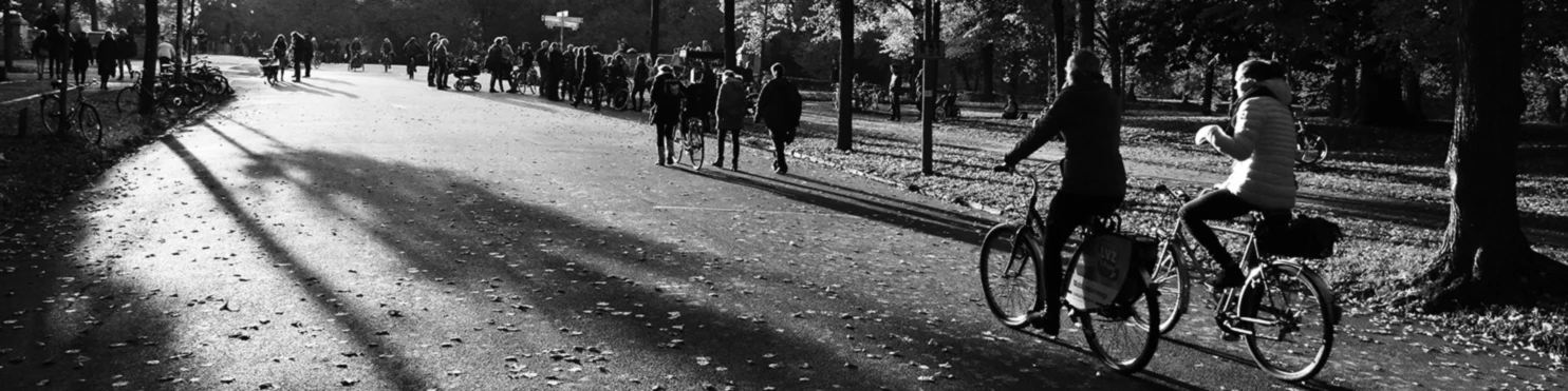 Bannière de Soulshots