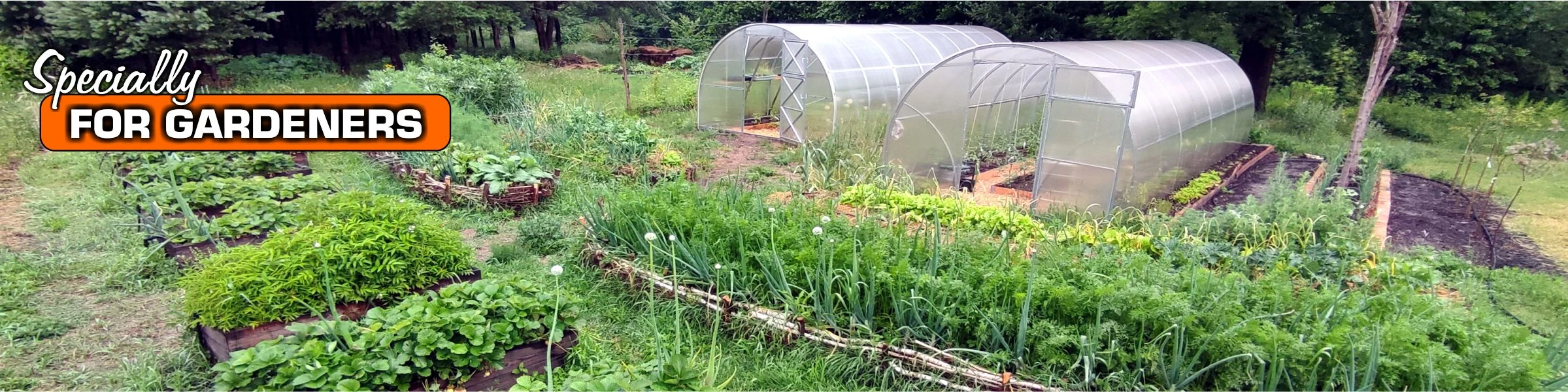 Banner image of ForGardeners