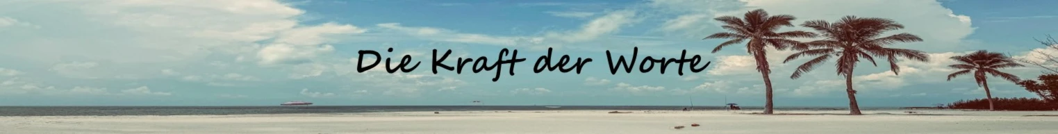 Bannerbild von Lichtmomente