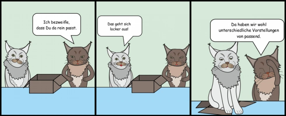 Bannerbild von Schachtelkatzen