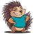 Cuddly Porcupine