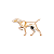 Worldofdogs