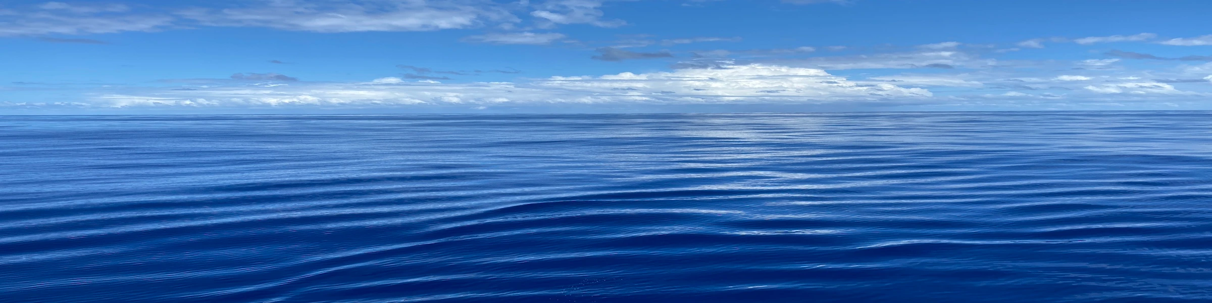 Bannière de Gulf of Mexico Lounge