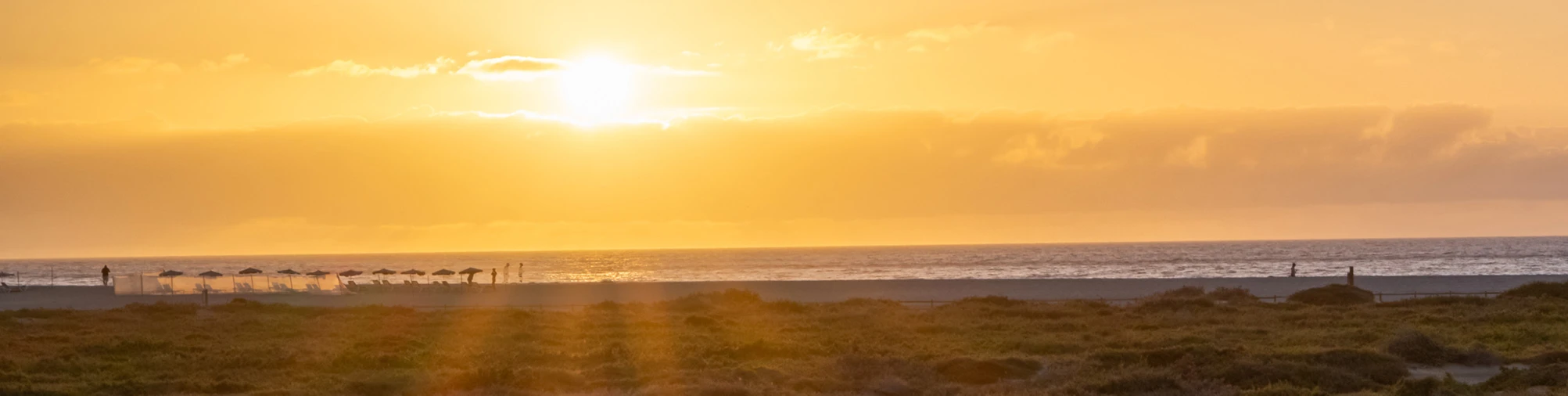 Bannerbild von FiBe-Momente