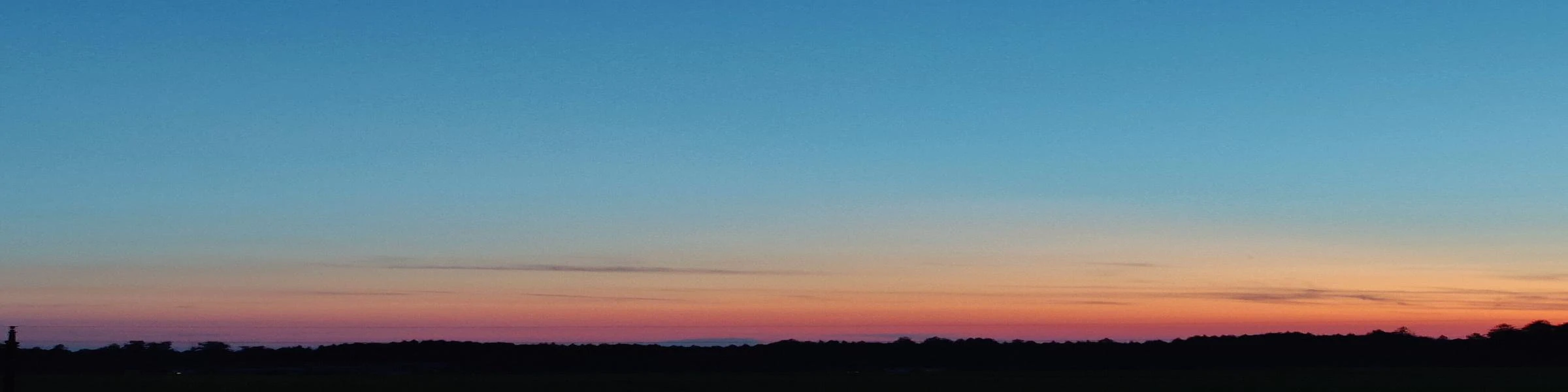 Banner image of Daily SMILE