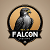 Falcon Creative Studio