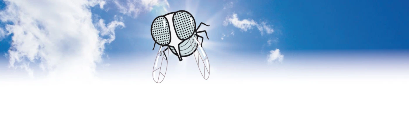 Banner image of jameandbzzz