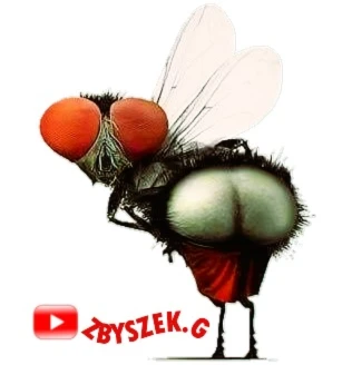 Banner image of Zbyszek.G