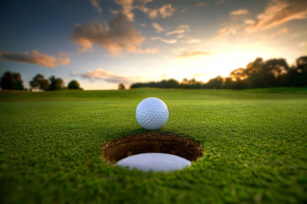 Banner image of GolferFit