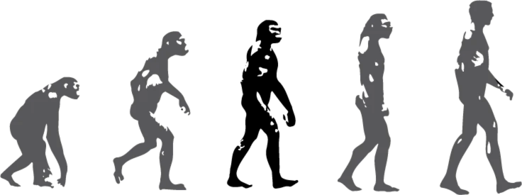 Banner image of Homo Erectus