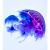 MEdusaVERSE