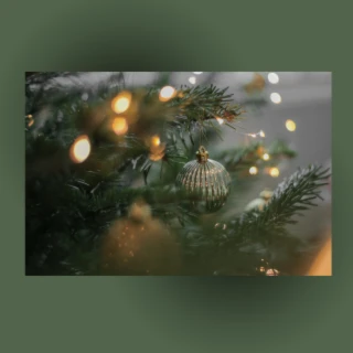 Banner image of Voimavara M