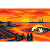 SeapointSurfClub