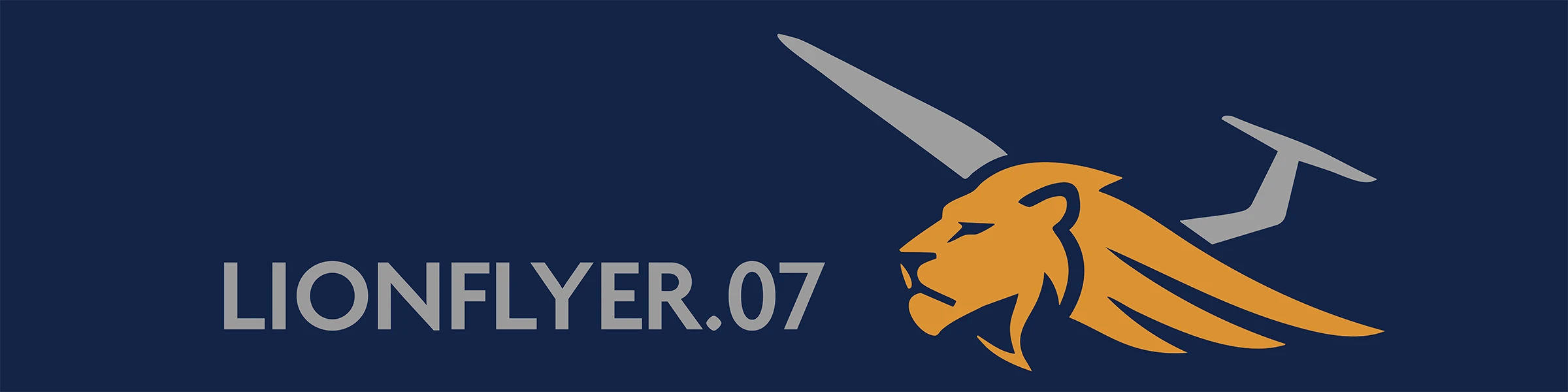 Bannière de LionFlyer.07