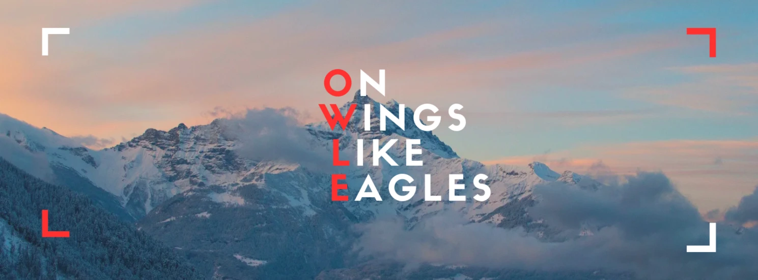 Banner image of OWLE