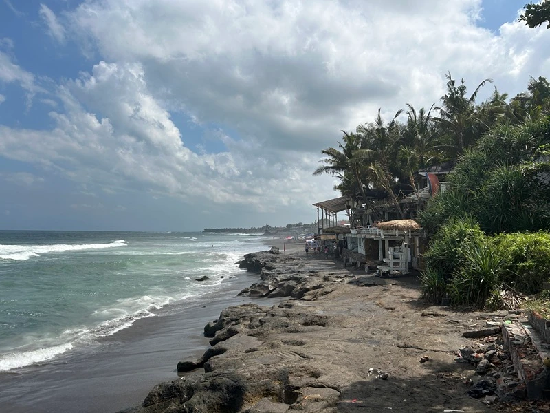 Banner image of IndoNet