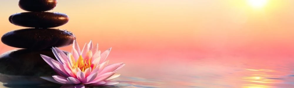 Banner image of SabrinaSummer