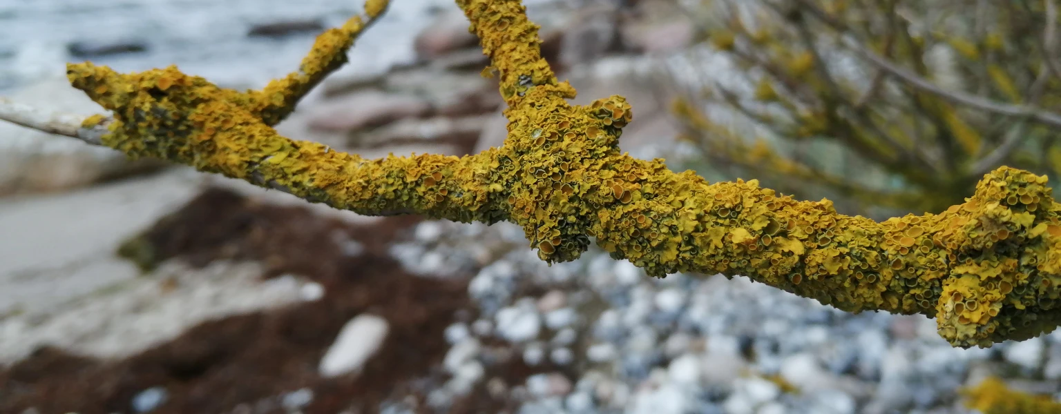 Bannerbild von FU-Design