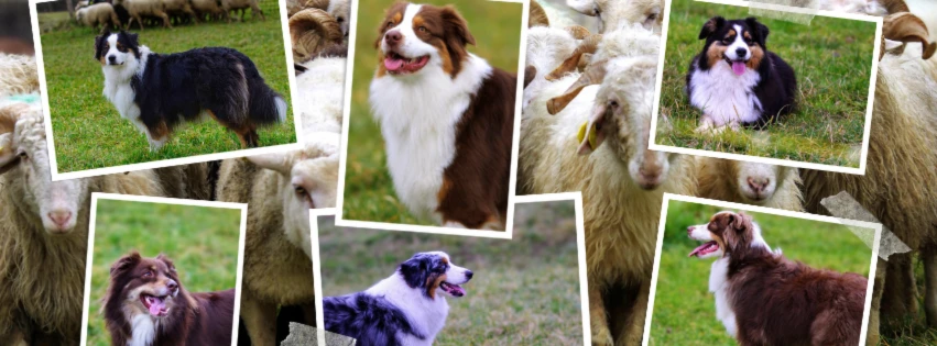 Bannière de By.JMVL-Photographie_du_vivant