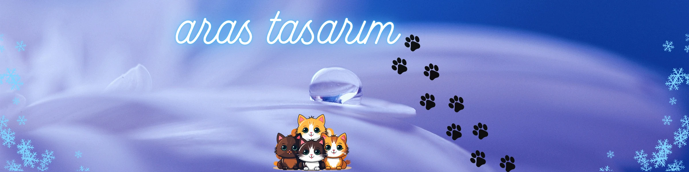 Banner image of ARAS MODA