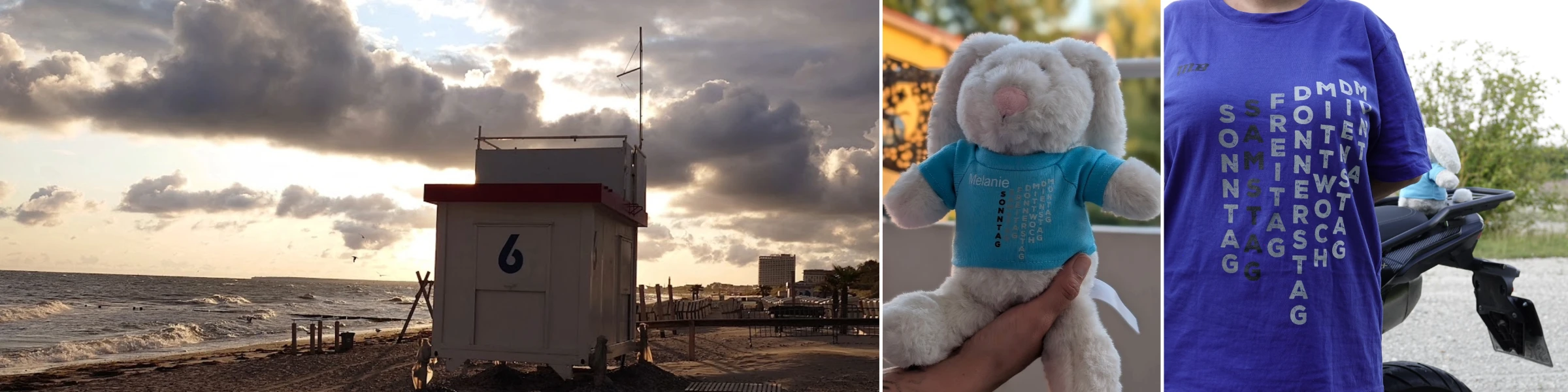 Banner image of JFC-41-5