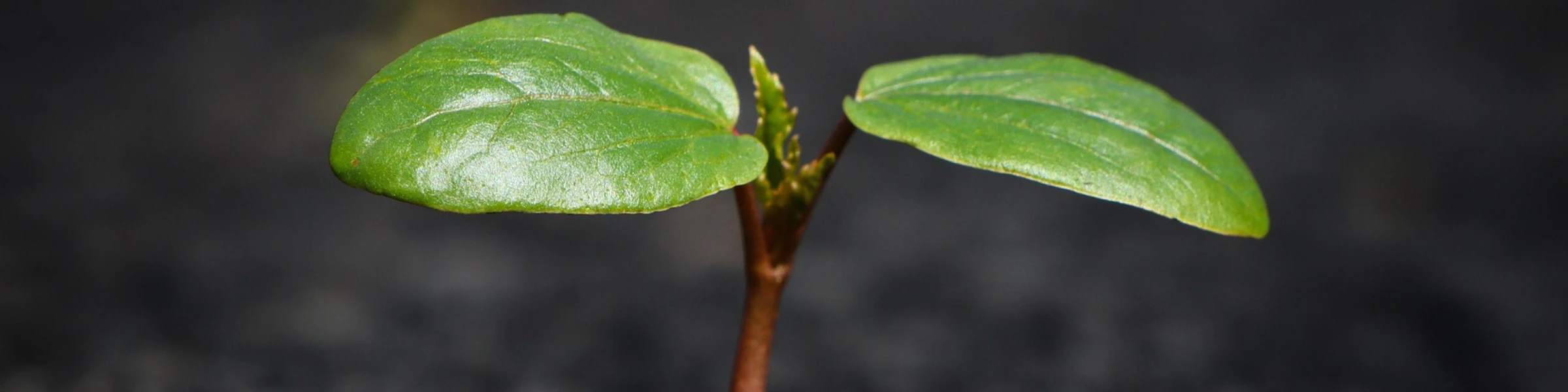 Banner image of BeLitForYou