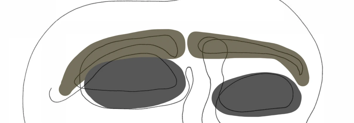 Banner image of SelmaSphere