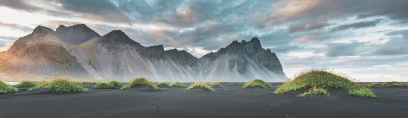 Banner image of AriesForce