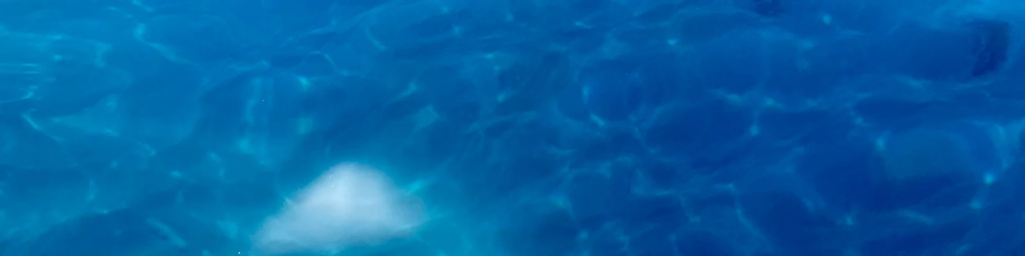 Banner image of Fishing Sport Adventure