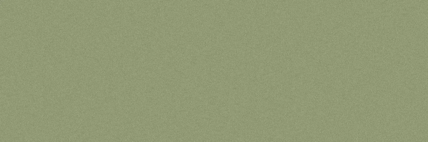 Bannière de ailaravenshire