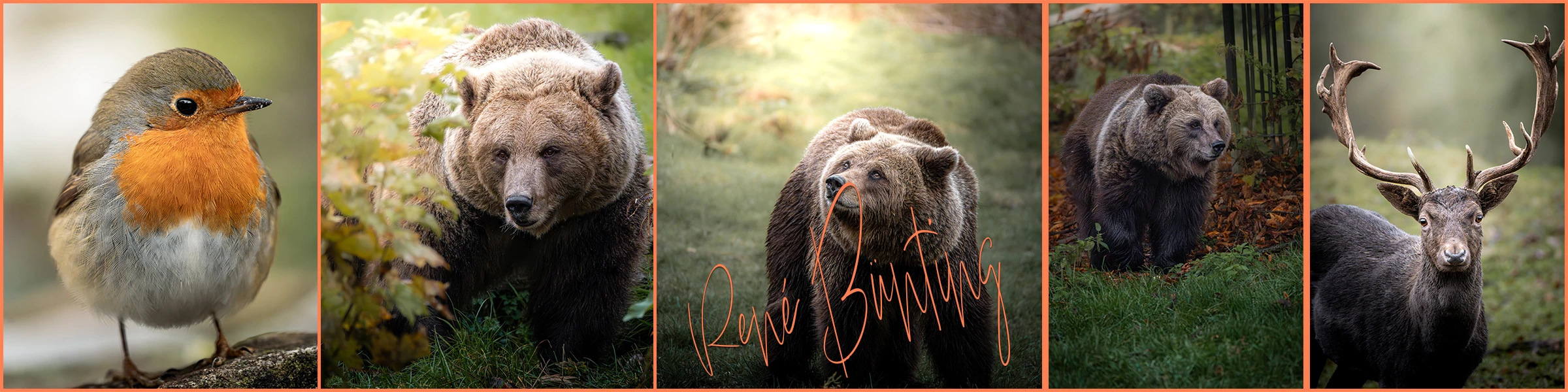 Banner image of renebuenting creative