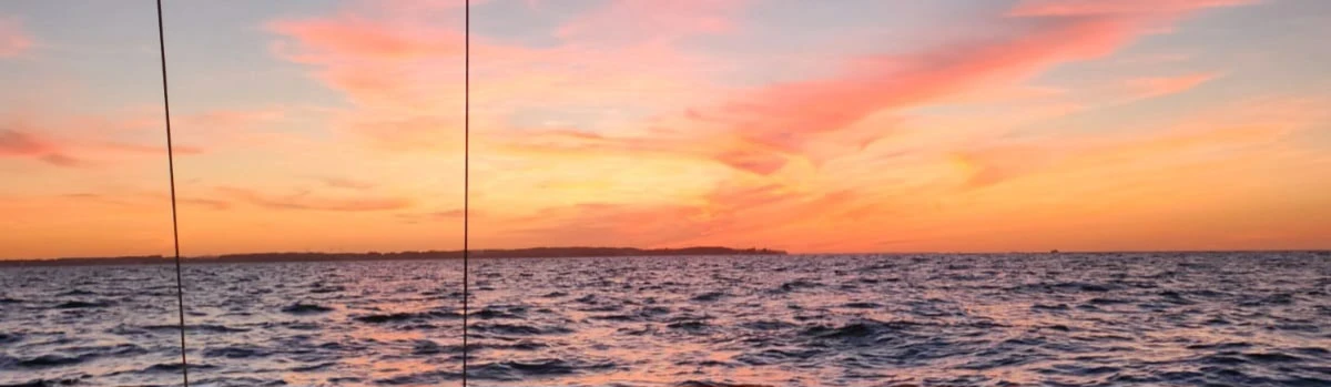 Banner image of 213792330