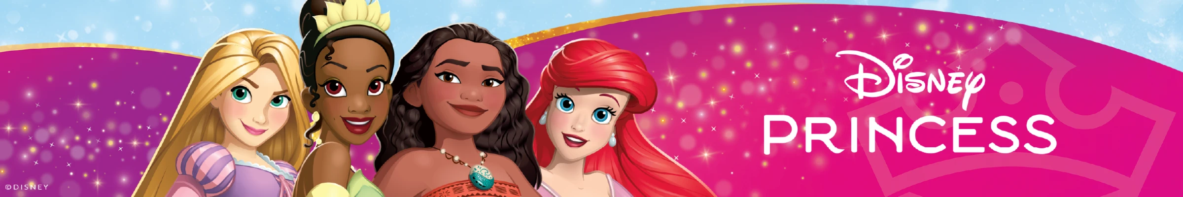 Bannière de Disney Princess