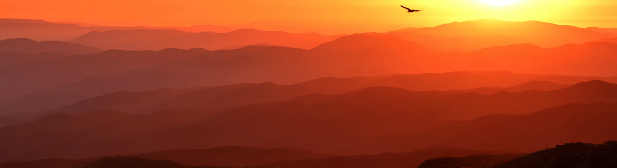 Banner image of Zauberkunstschmiede