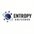 Entropy Universe