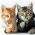 the-art-of-cats-and-pets